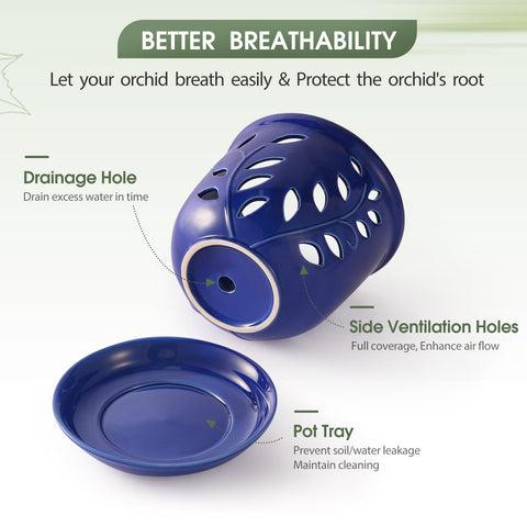 Genntale orchid pot bottom drainage holes blue enables moisture control.