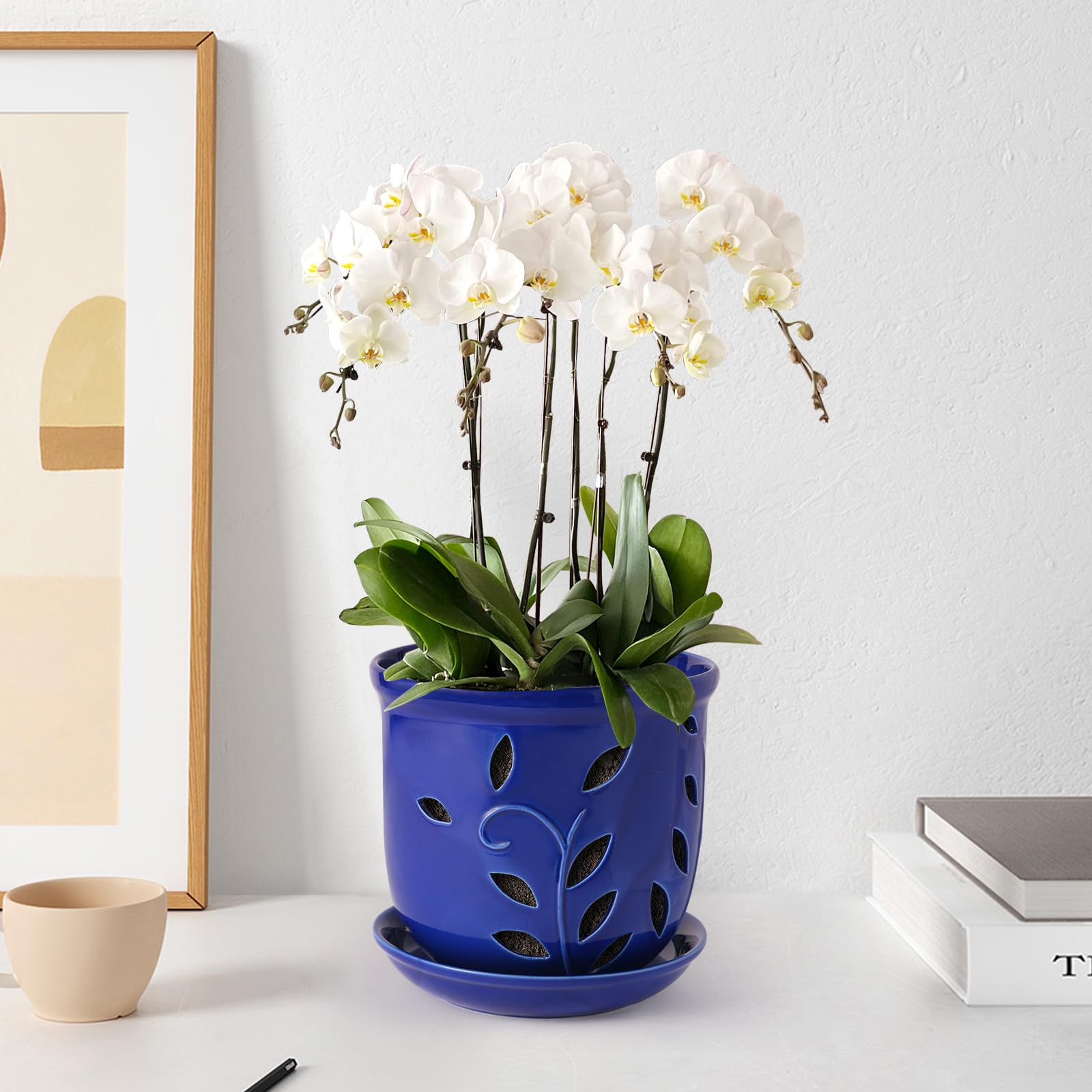 Genntale orchid pot for indoor and outdoor display blue fits spaces.