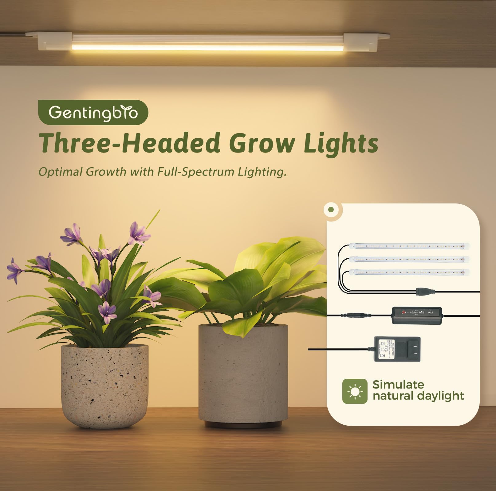 GENTINGBRO eight-level brightness with timer enables customized lighting