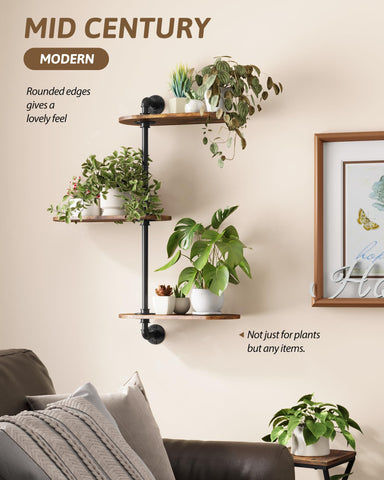 GENTINGBRO compact-window-garden demonstrates space-saving sunlight exposure