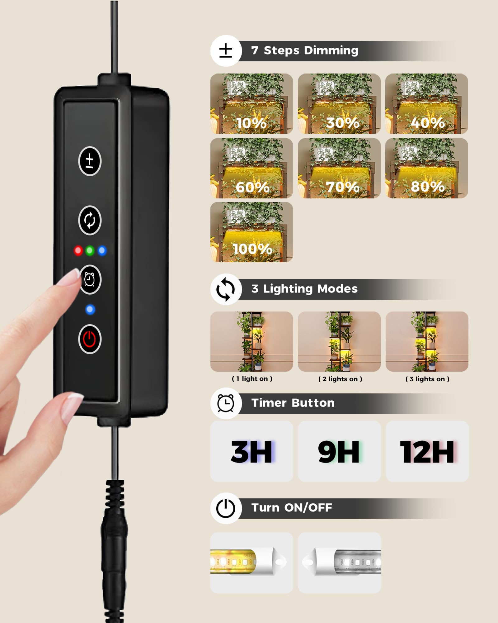 GENTINGBRO indoor garden display enhances home aesthetics.