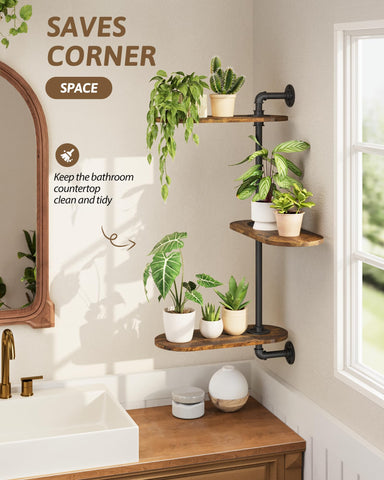 GENTINGBRO three-tier display showing organized plant space