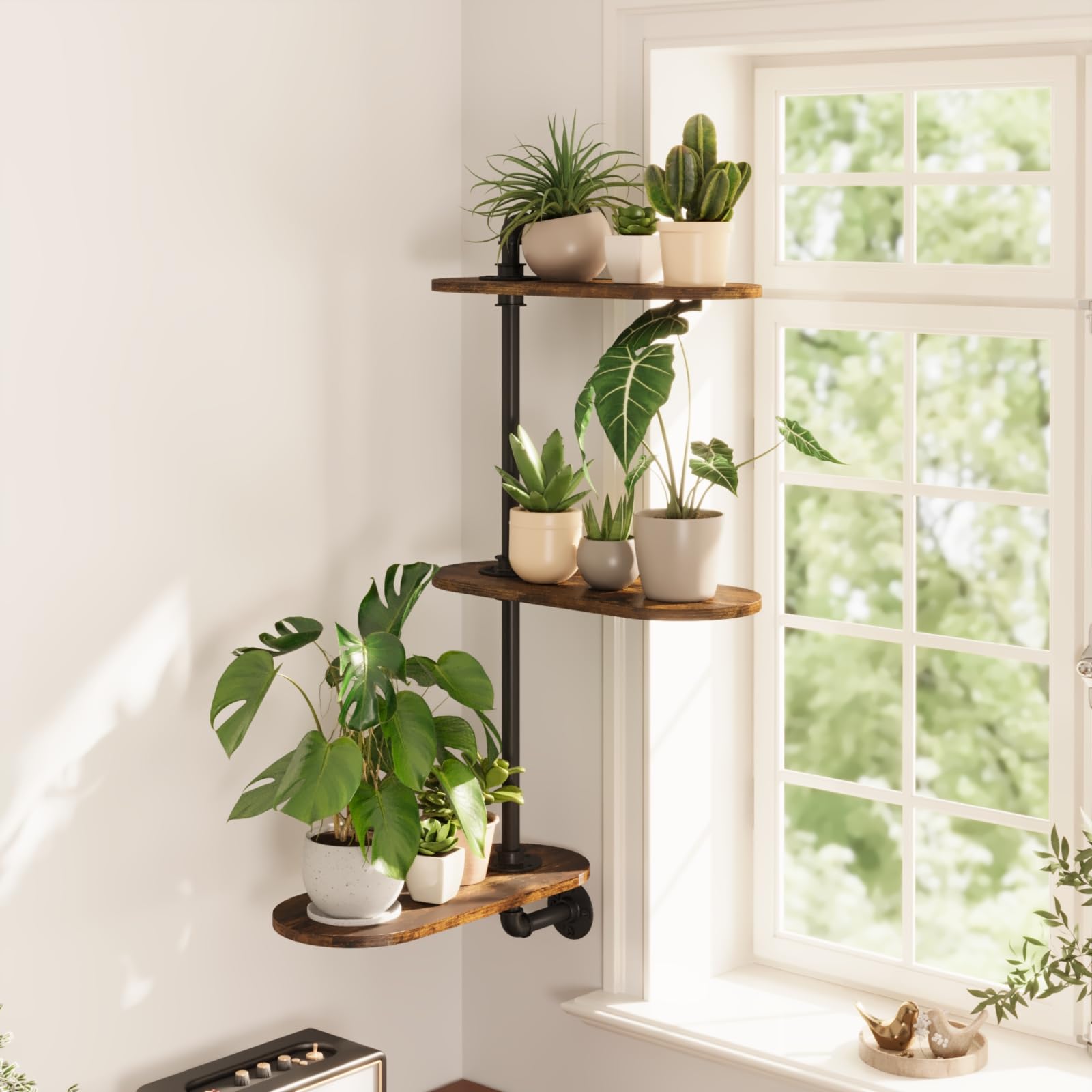 GENTINGBRO window shelves 3-tier plant stand showcasing space-saving sunlit display
