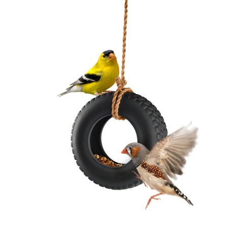 Genuine Fred Swing TIME in garden setting with rope visible for simple setup