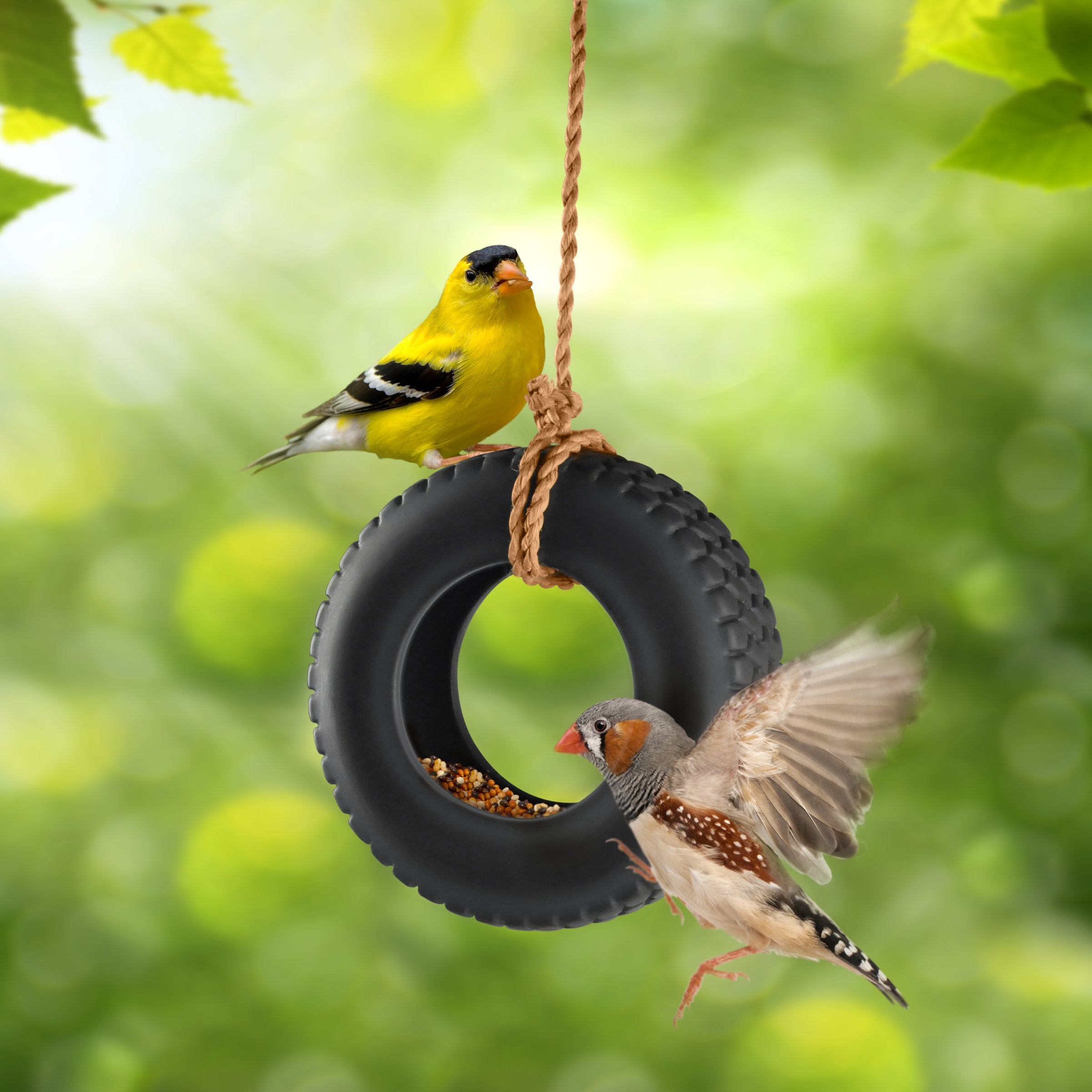 Genuine Fred Swing TIME rope detail highlights easy hanging in any outdoor space