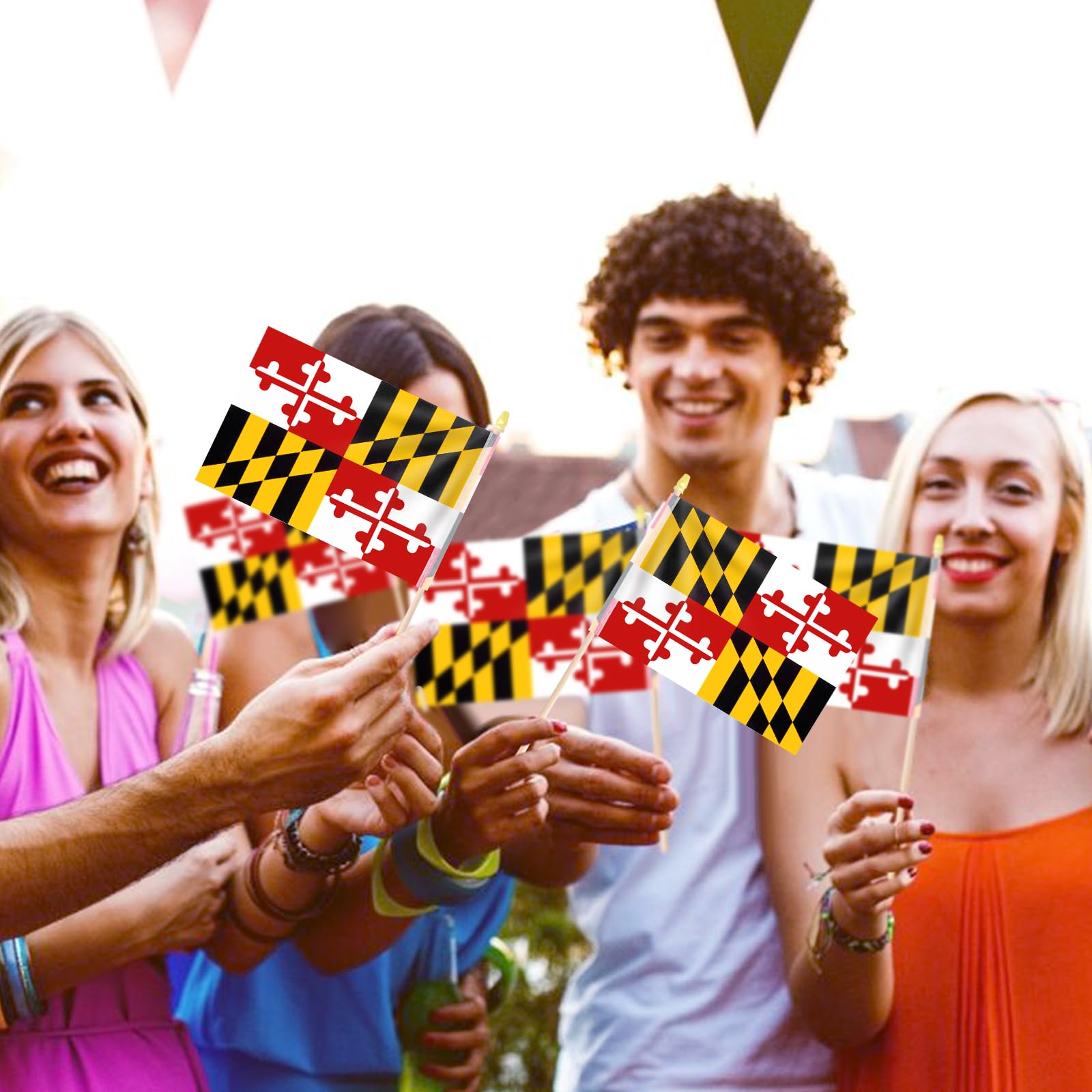 Geodurn MD flags ideal for classroom, political rallies, and holiday decorations.