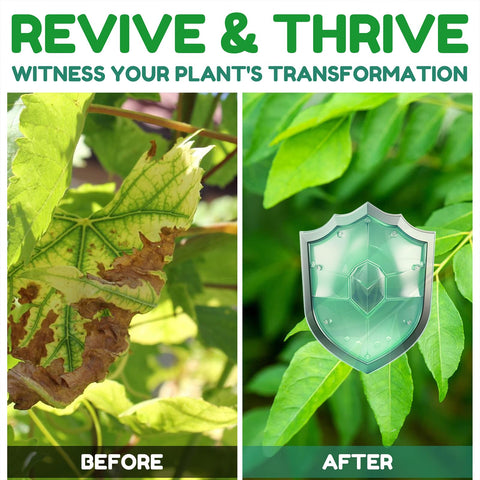 Geomust spray on vegetables in a garden setting.