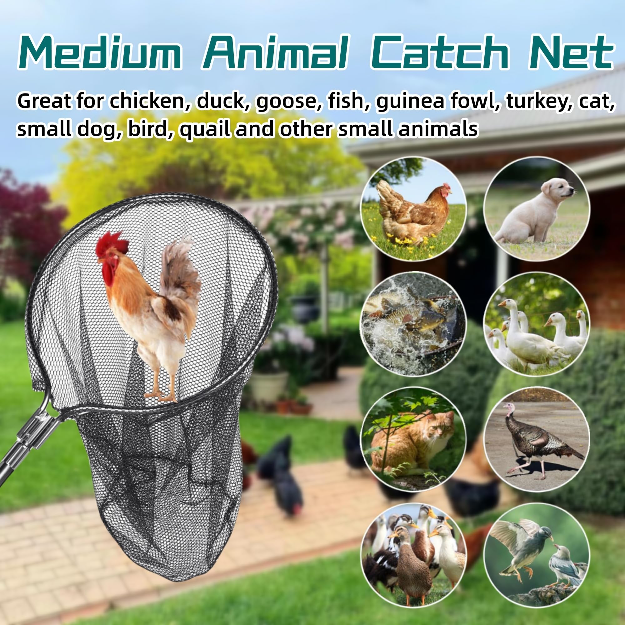 George Garden Catch Net close-up shows gentle rubber coating for safe animal handling
