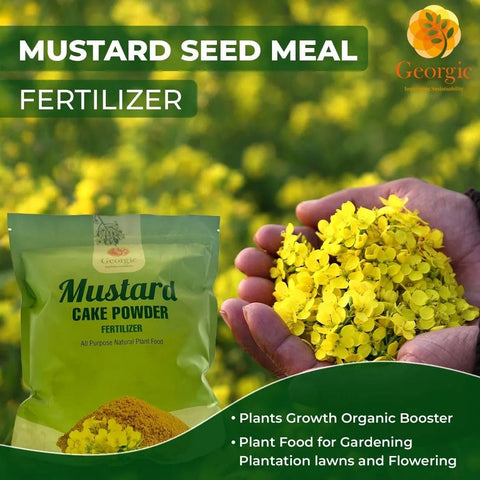 GEORGIC mustard oil cake powder benefits fruit trees in containers