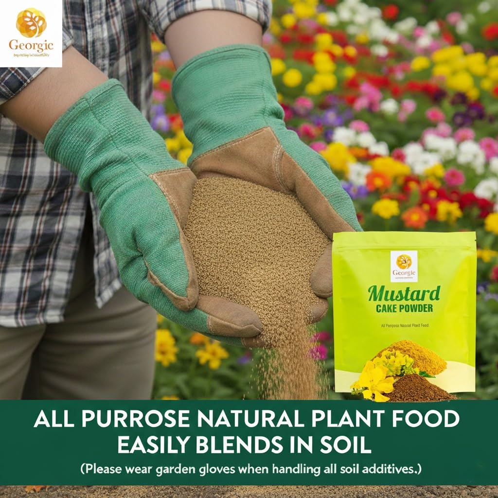 GEORGIC mustard oil cake powder top-dressing near healthy roots