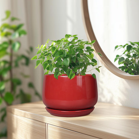 G EPGardening 7-inch red ceramic planter on a shelf with a lush indoor plant.