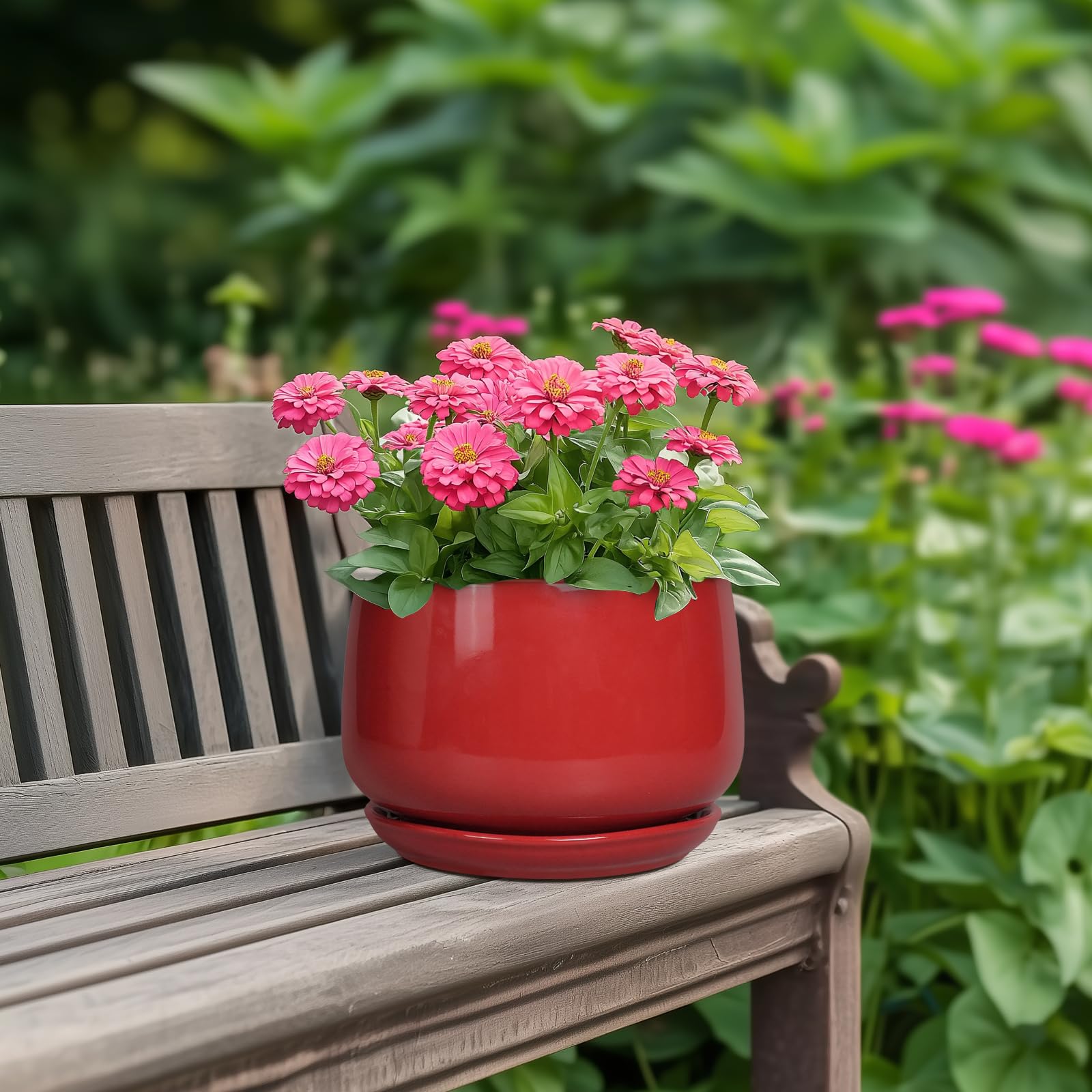 G EPGardening 7-inch red ceramic planter with saucer prevents spills and soil mess.