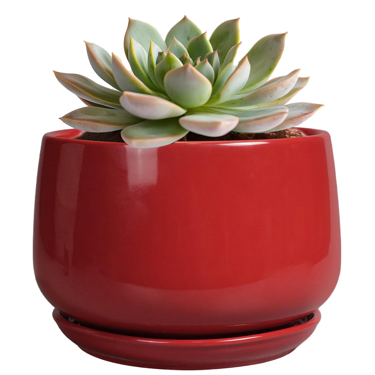 G EPGardening 6-Inch red ceramic pot with drainage hole for healthy roots.