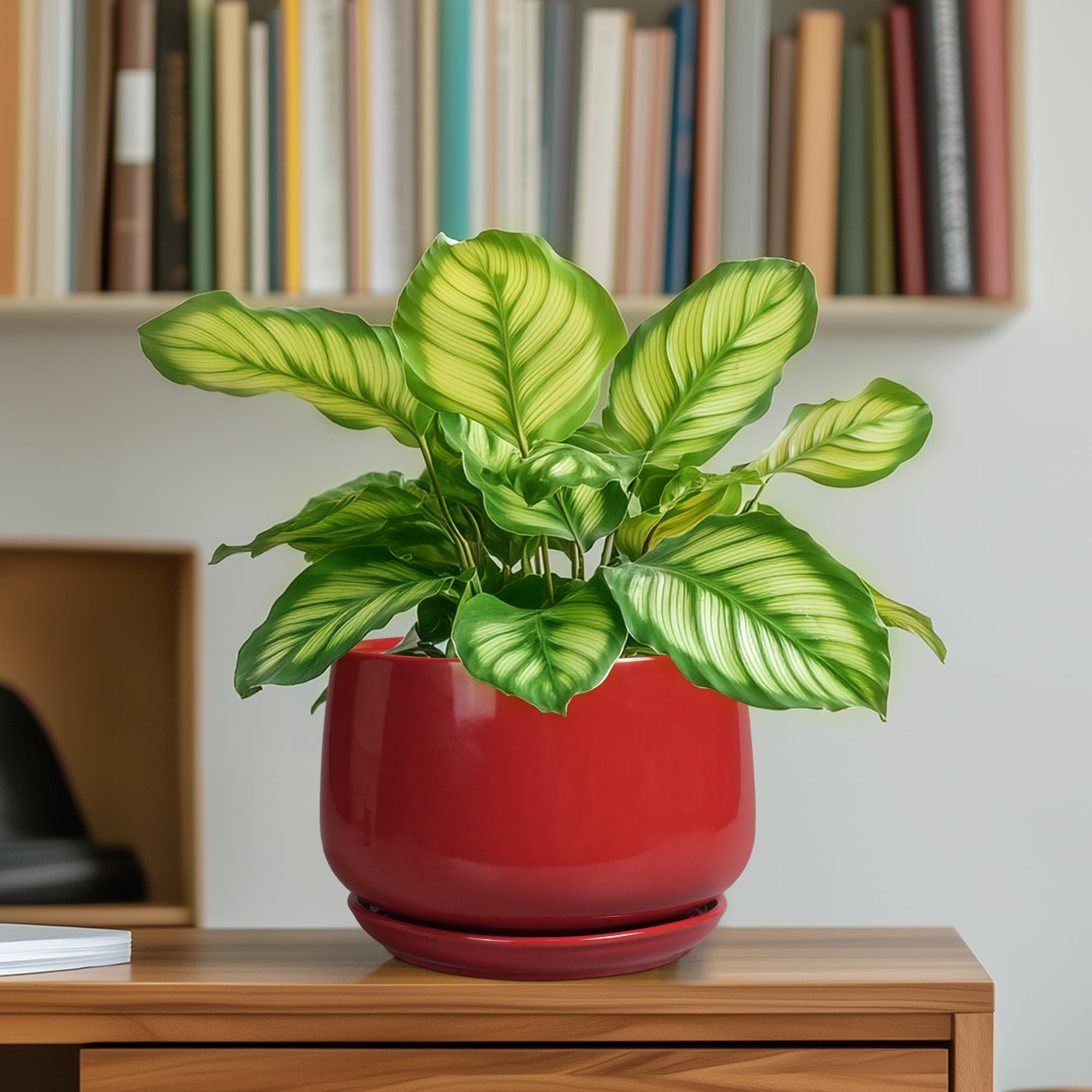 G EPGardening modern red planter displayed in a living room setup.