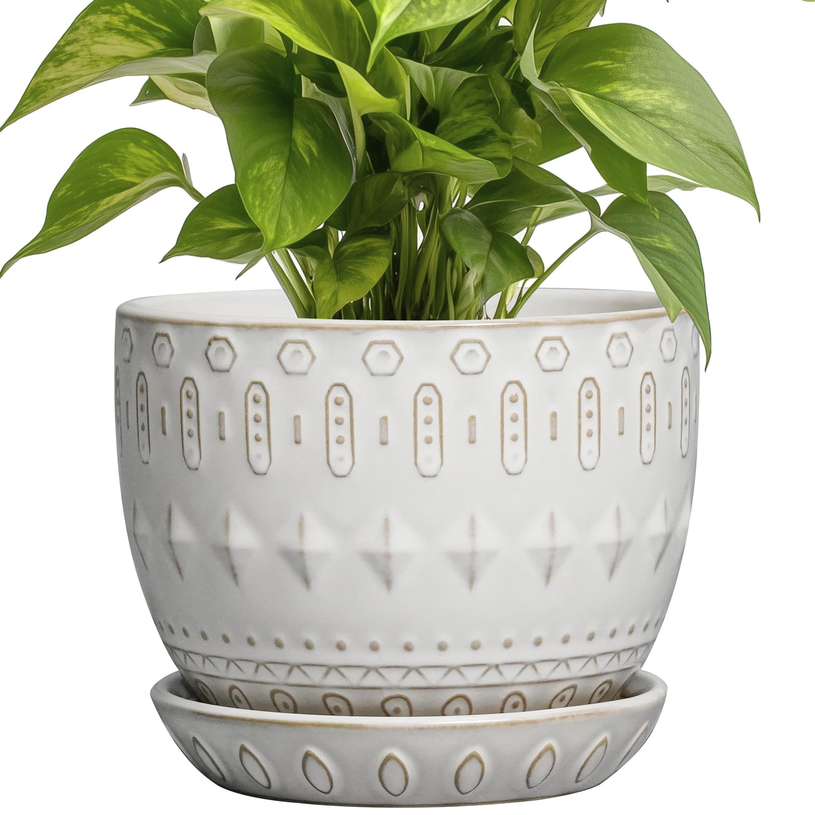G EPGardening ceramic white round pot for stylish indoor or outdoor display.