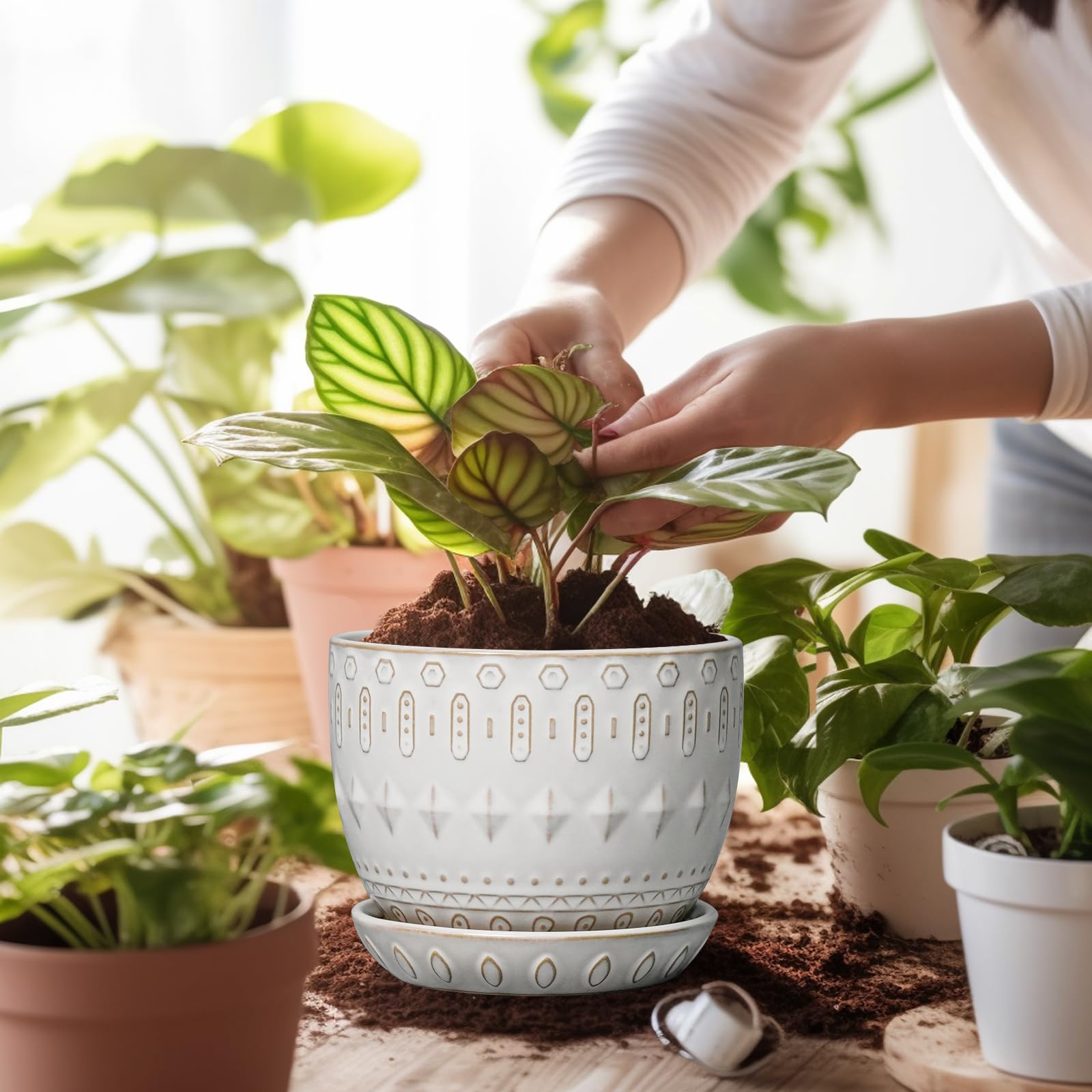 G EPGardening five-inch diameter pot ideal for succulents, herbs, or small flowers.