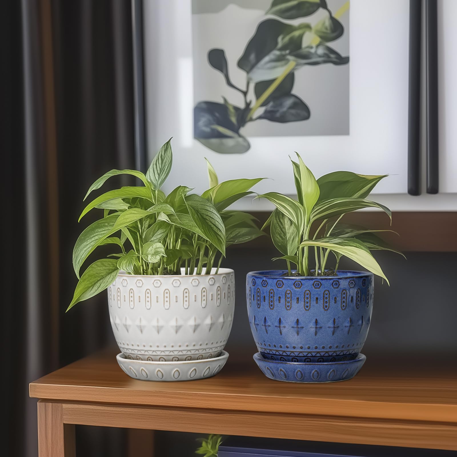 G EPGardening perfect gift for plant lovers on birthdays and holidays.