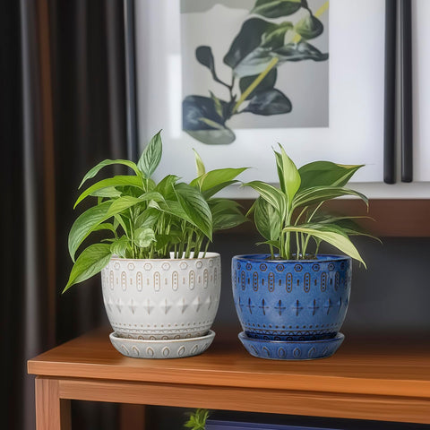 G EPGardening blue indoor planter used with succulents for fresh vibes.