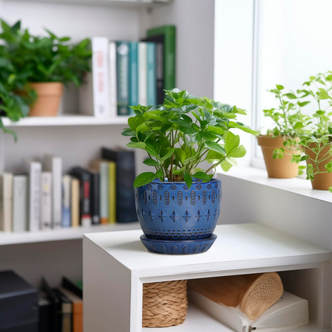 G EPGardening 5inch blue side view shows sturdy ceramic construction.