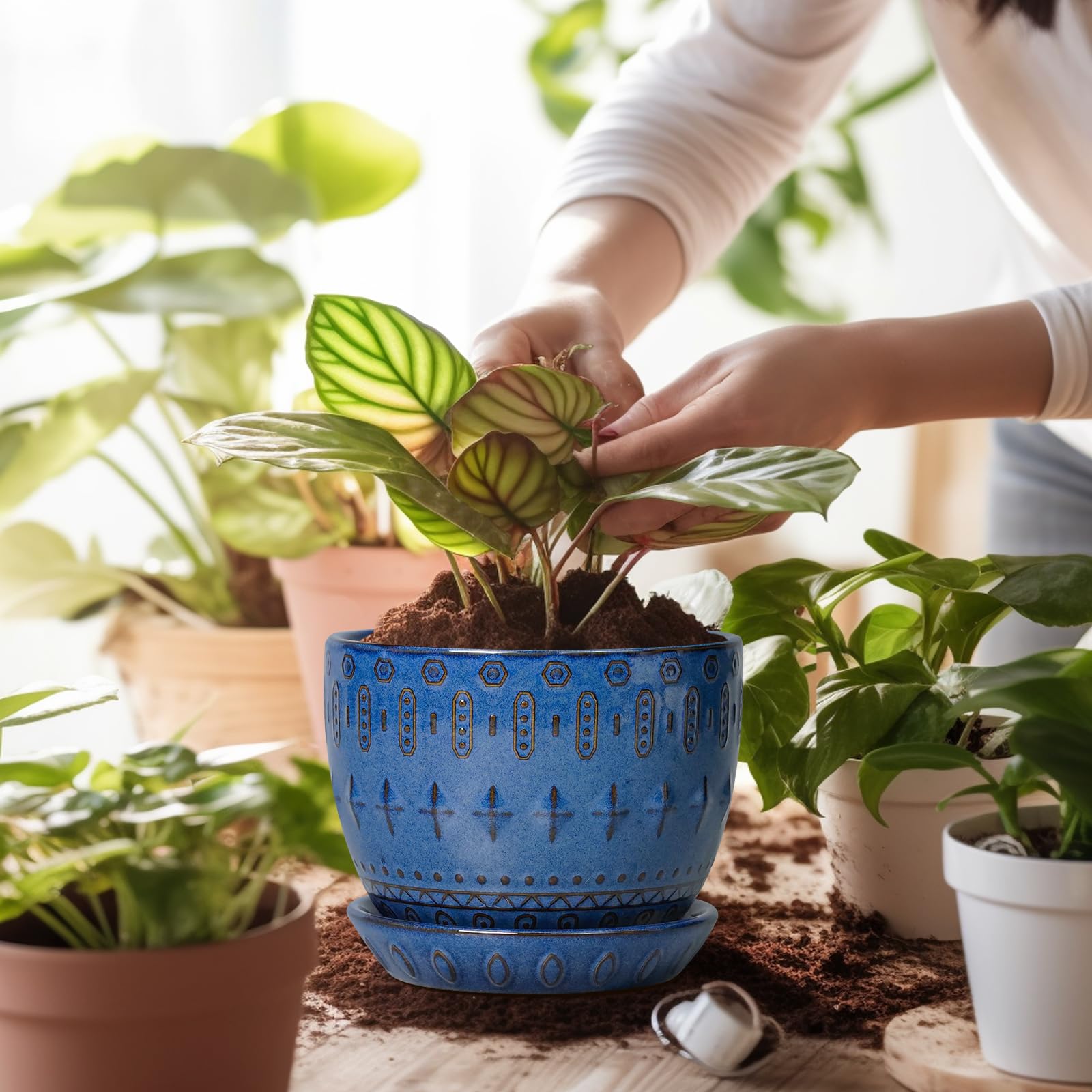 G EPGardening 5inch blue pot with saucer featured in home display.