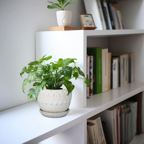 G EPGardening white planter complements minimalist decor in modern interiors.