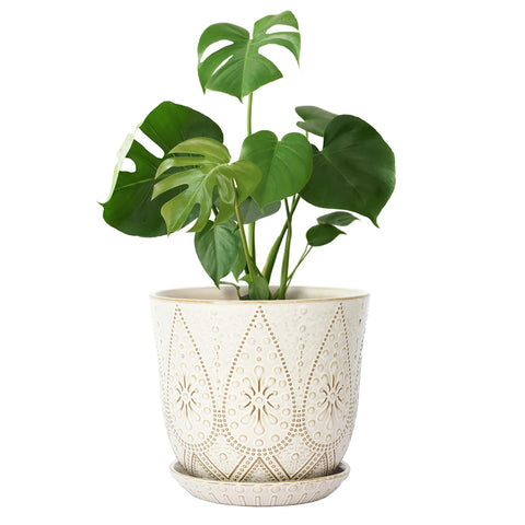 Gepege 10-inch creamy white pot with drainage holes for healthy plant care.