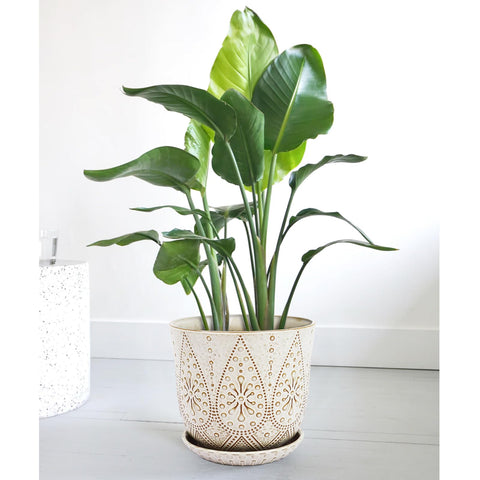 Gepege gift-ready planter for plant lovers and home decor.