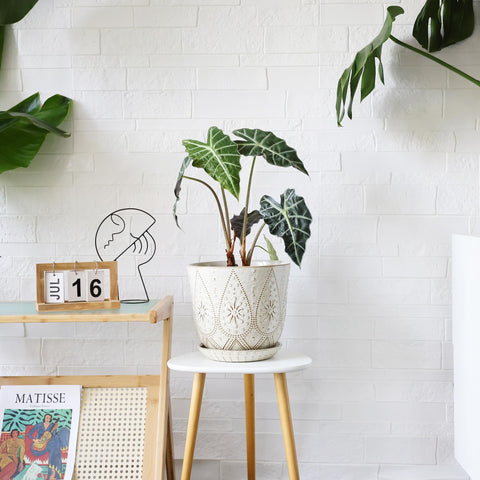 Gepege 10 inch planter packaging includes pot, mesh pad, and saucer.