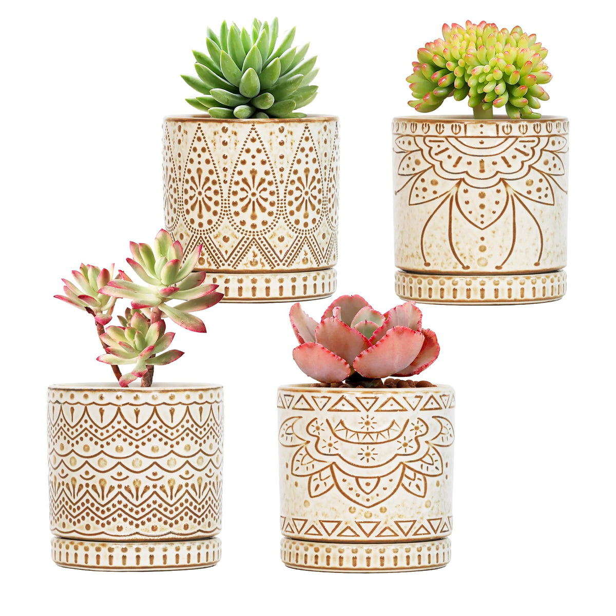 Gepege 4-inch succulent pot with drainage holes for healthy root drainage.