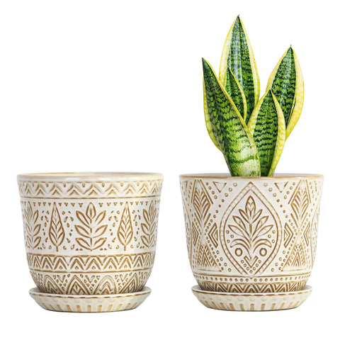 Gepege 6-inch ceramic planter with drainage holes on a sunny windowsill to prevent overwatering.