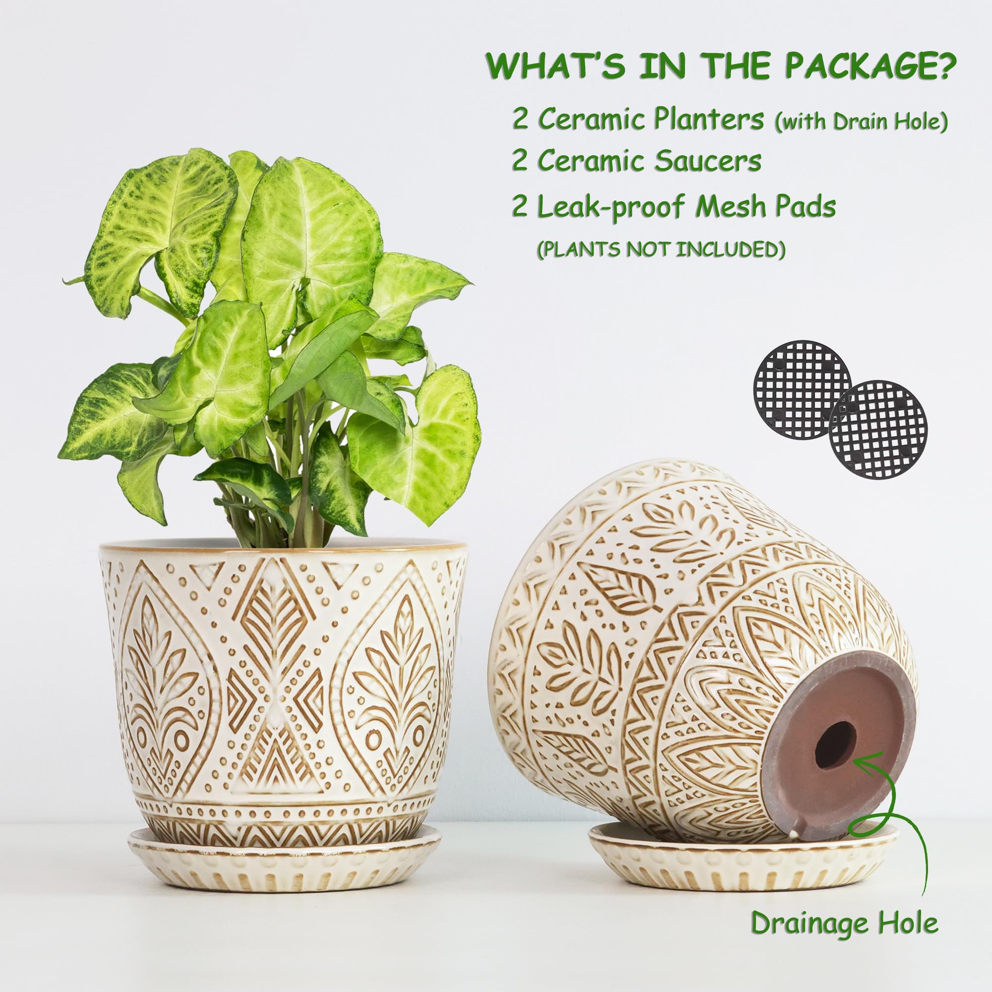 Gepege 6-inch planter on a desk adds minimalist style for herbs.