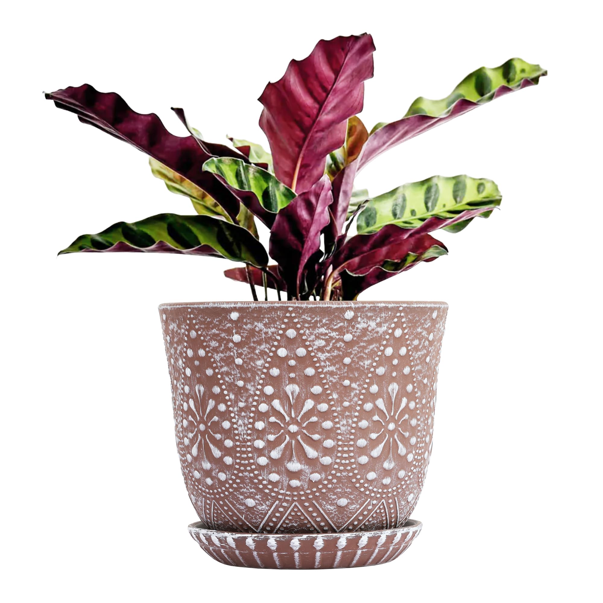 Gepege 8-Inch ceramic pot with drainage holes for healthy root drainage and décor