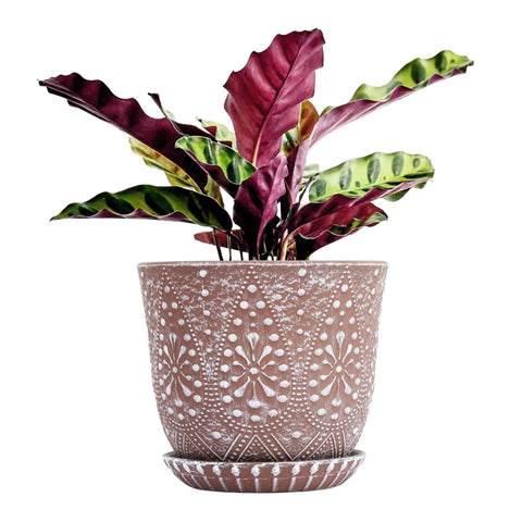 Gepege 8-Inch ceramic pot with drainage holes for healthy root drainage and décor