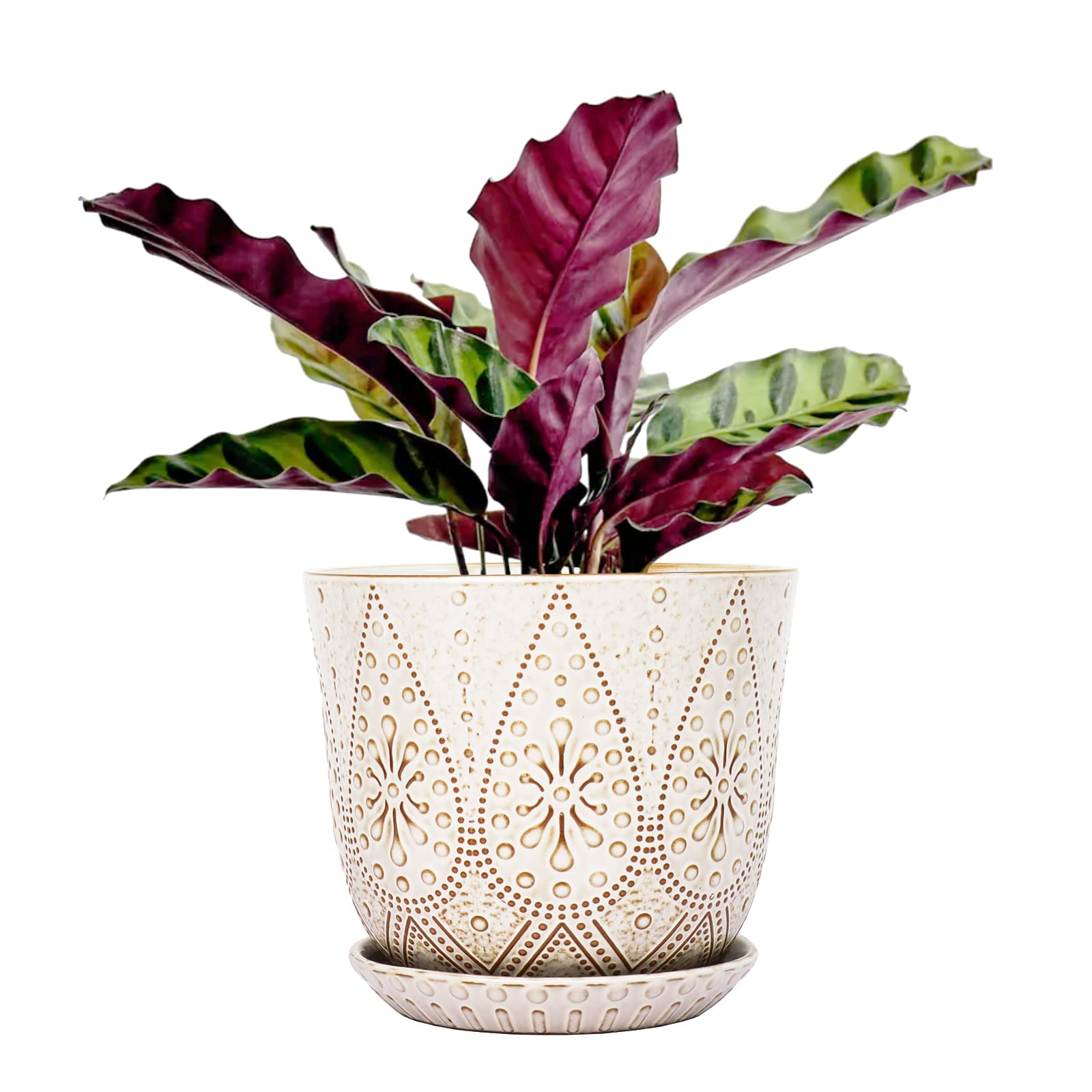 Gepege 8 inch ceramic pot with drainage holes supports healthy orchid and succulent growth.