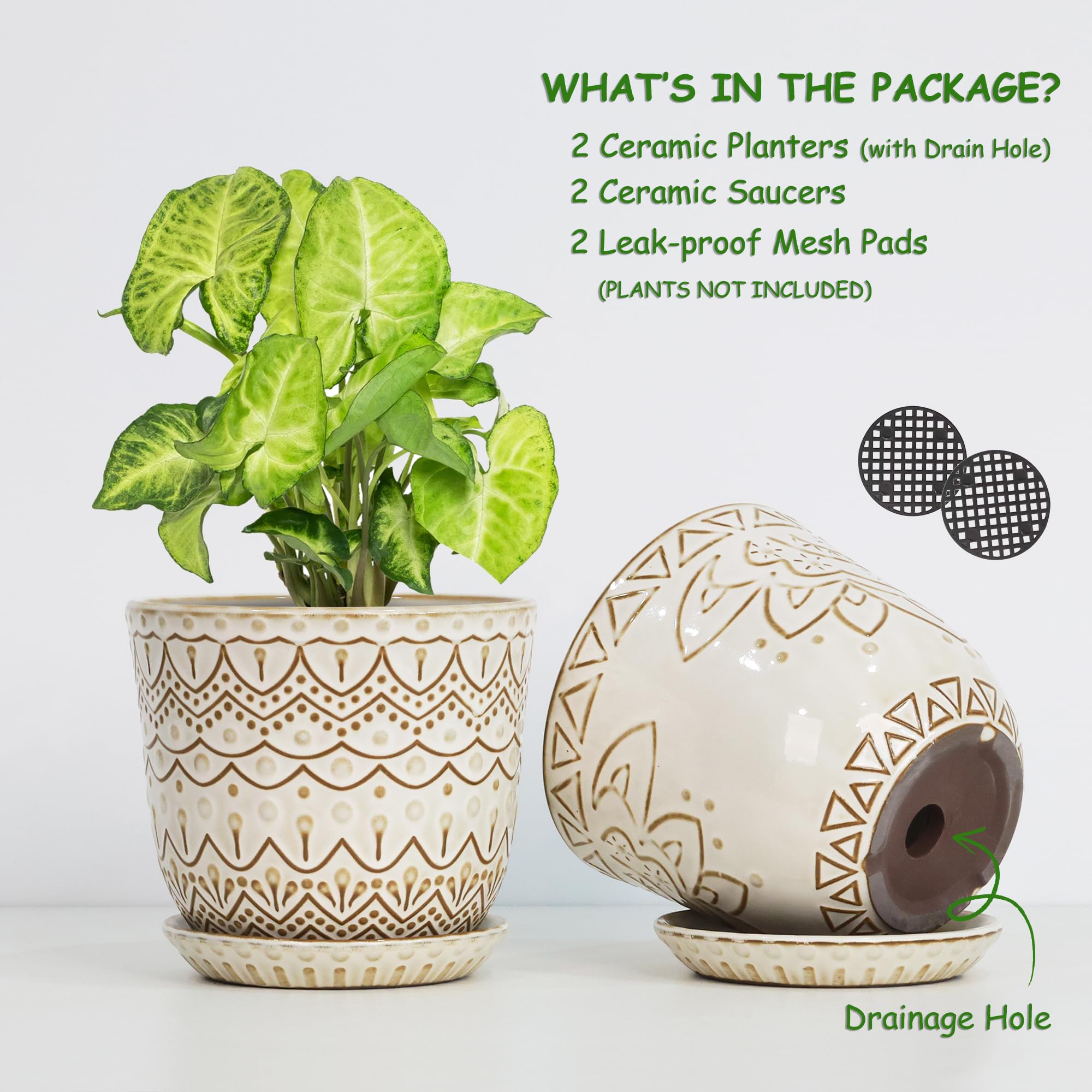 Gepege Beaded Ceramic Planter with saucer and mesh pad for moisture control.
