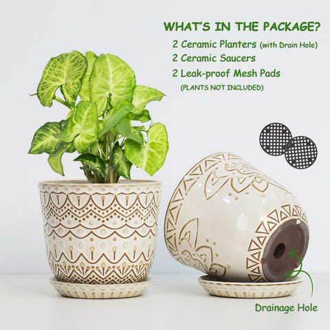Gepege Beaded Ceramic Planter with saucer and mesh pad for moisture control.