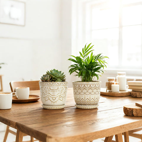 Gepege Beaded Ceramic Planter set, ideal gift for plant lovers.