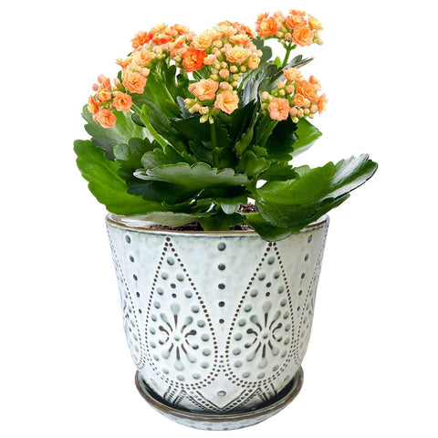 Gepege beaded planter, side angle, stylish texture for home décor.