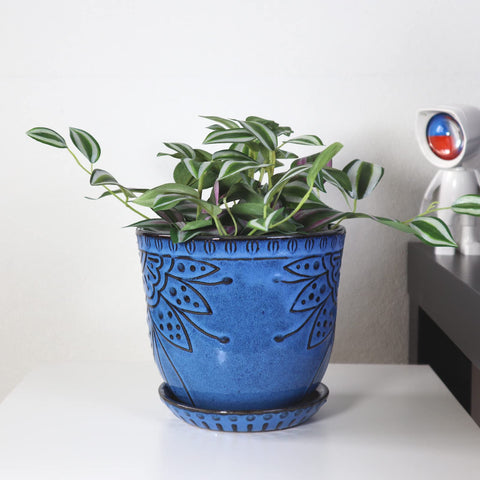 Gepege blue beaded planter packaging and components in the box