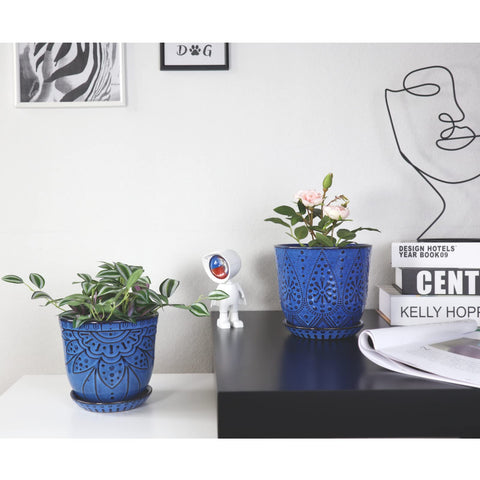Gepege blue ceramic planter on a windowsill ideal for orchids