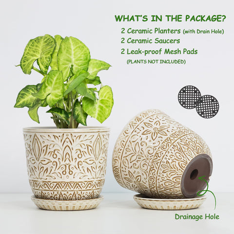 Gepege planter with matching saucer, keeps surfaces clean and protected.