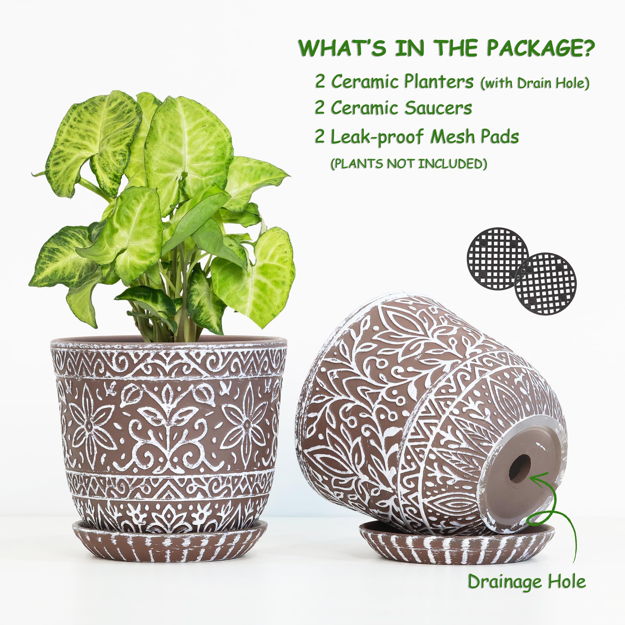 Gepege ceramic planter with saucer demonstrating integrated drainage for moisture control.