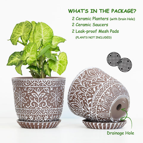 Gepege ceramic planter with saucer demonstrating integrated drainage for moisture control.