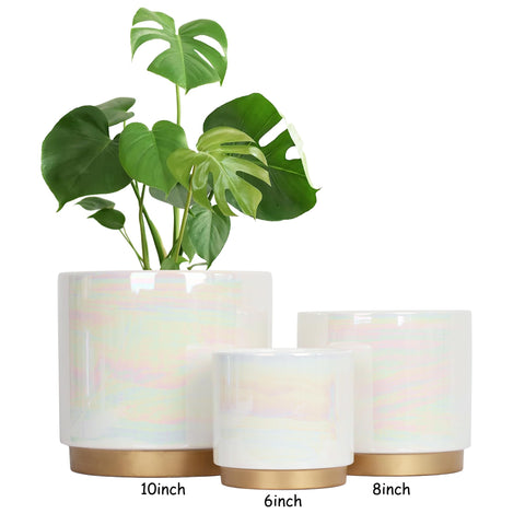Gepege ceramic pot withstands temperature changes, ideal for indoor-outdoor use