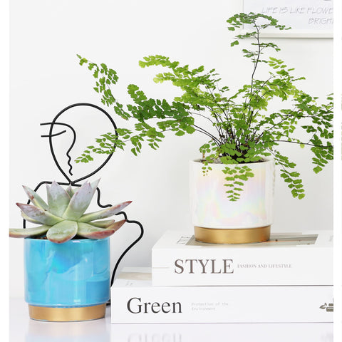 Gepege ceramic pot bundle includes mesh pads and rubber stoppers