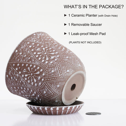 Gepege ceramic planter with removable saucer illustrates two placement options for versatile display.