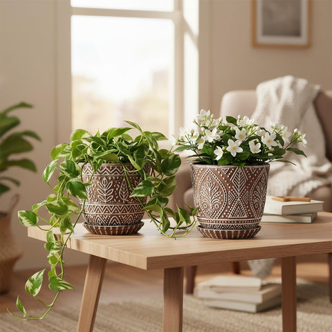 Gepege gift-ready ceramic planters set for birthdays or housewarmings.
