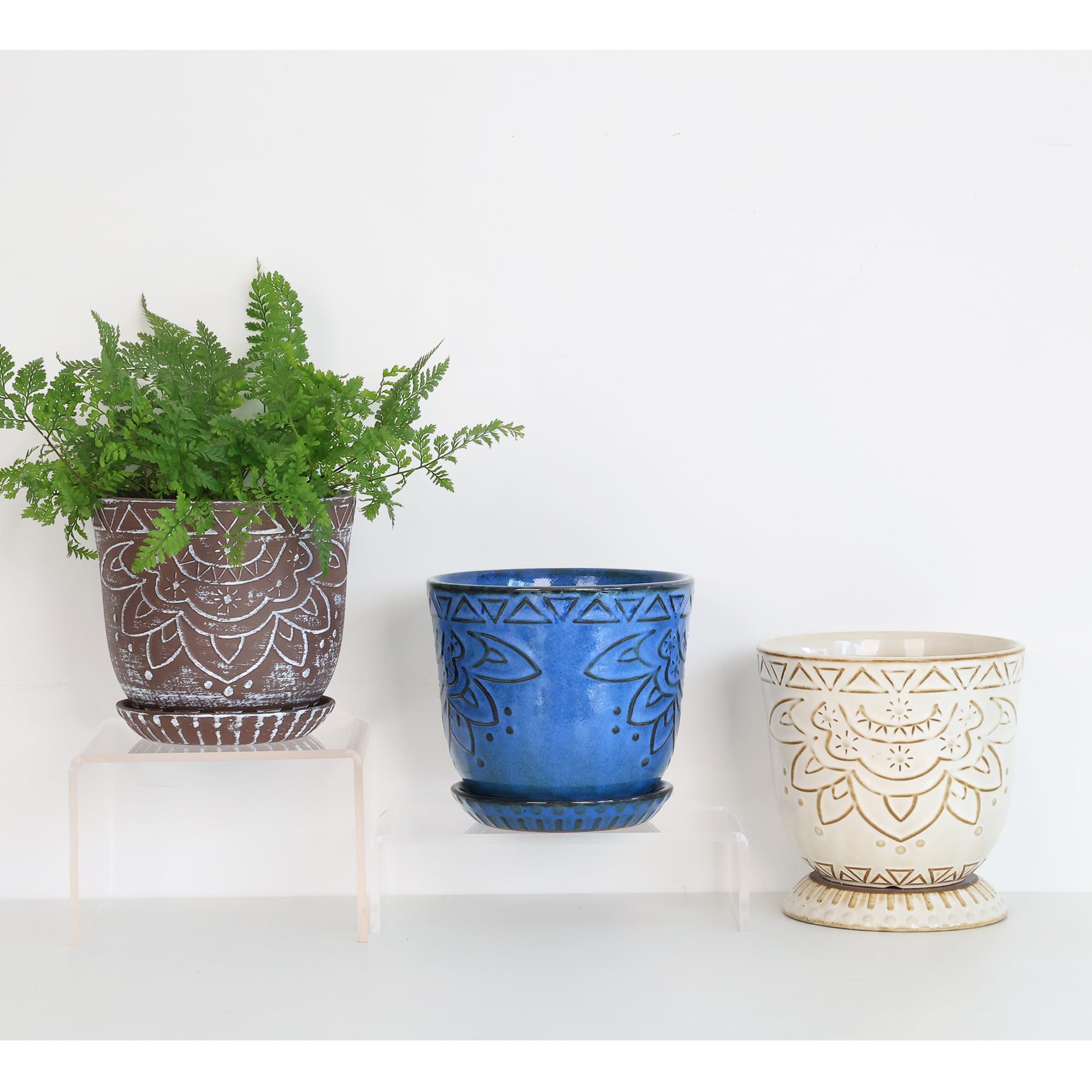 Gepege herb pot ideal for small kitchen herbs and easy care.