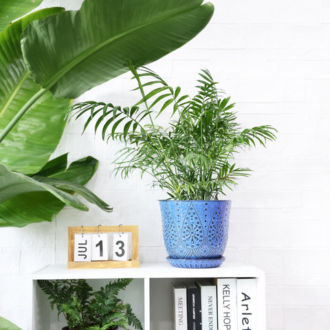 Gepege indoor planter for tabletops, windowsills, and floors