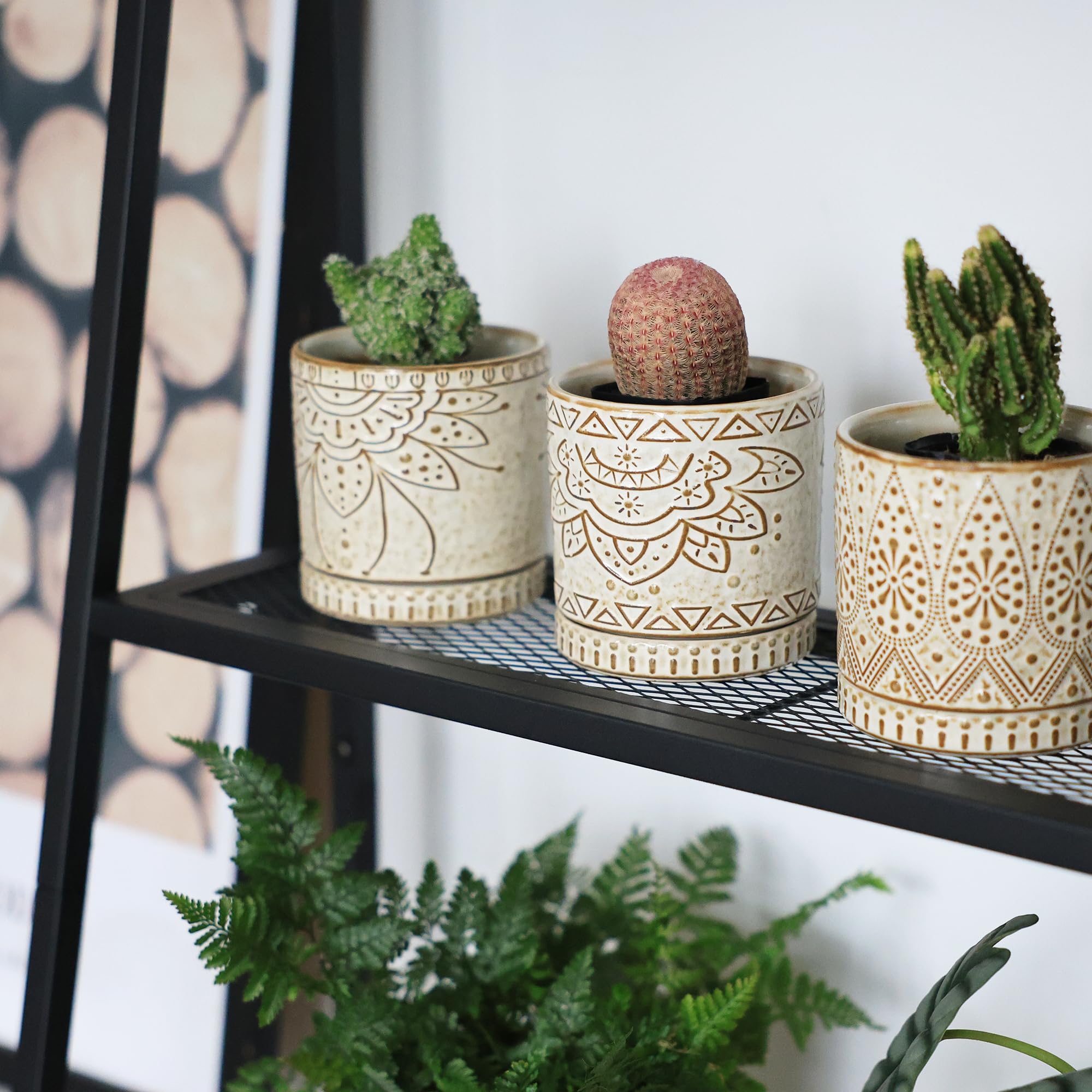 Gepege indoor plant pot on a windowsill for compact greenery.